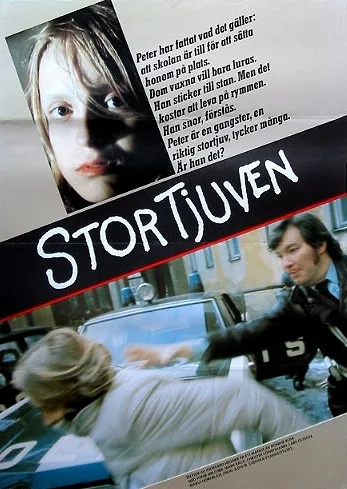 Stortjuven