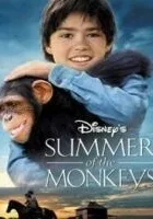 Summer of The Monkeys