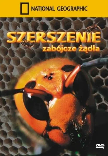 Szerszenie