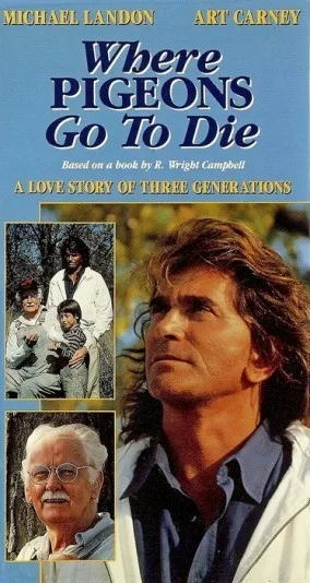 Tam, gdzie gołębie odlatują przed śmiercią