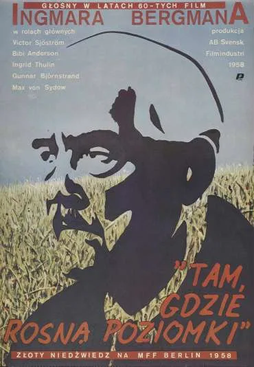 Tam, gdzie rosną poziomki