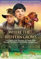 Tam, gdzie rośnie czerwona paproć