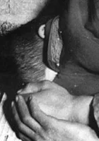 Teheran, payetakht-e Iran ast