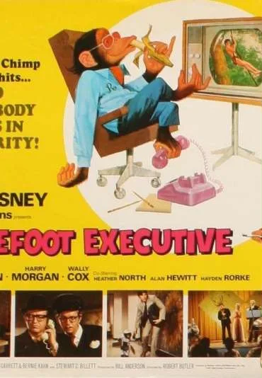 The Barefoot Executive