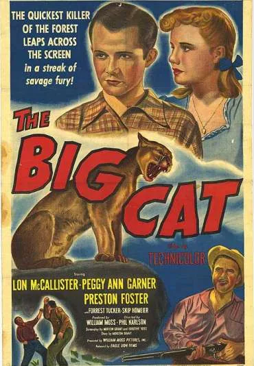 The Big Cat