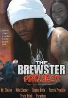The Brewster Project