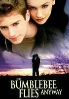 The Bumblebee Flies Anyway