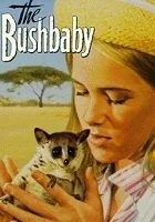 The Bushbaby