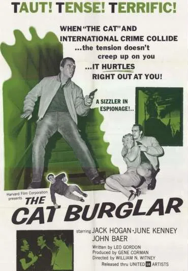 The Cat Burglar