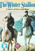 The Christmas Stallion