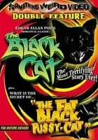 The Fat Black Pussycat