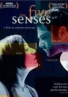The Five Senses