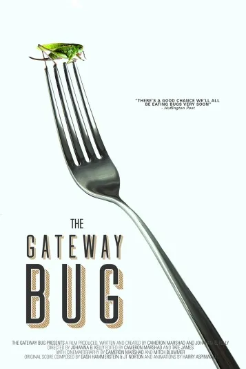 The Gateway Bug