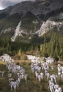 The Great Sperm Race