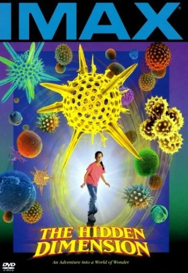 The Hidden Dimension