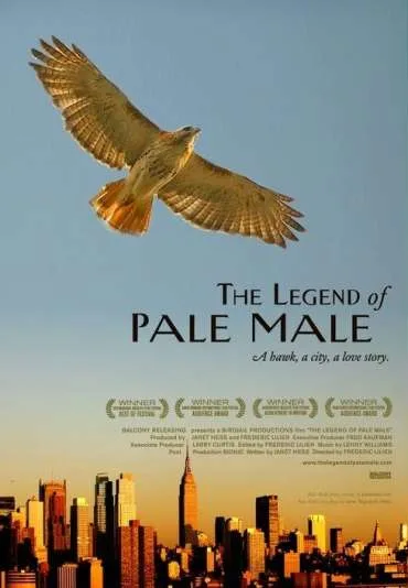 The Legend of Pale Male
