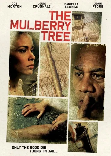 The Mulberry Tree
