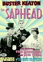 The Saphead