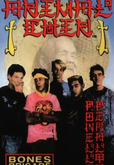 The Search for Animal Chin