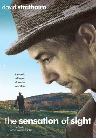 The Sensation of Sight