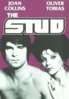 The Stud
