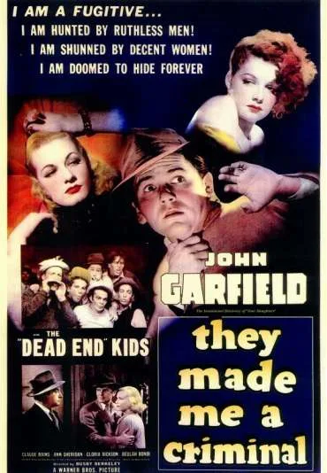 They Made Me a Criminal