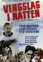 Trzepot skrzydeł w nocy