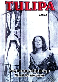 Tulipa