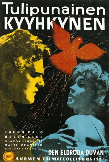 Tulipunainen kyyhkynen