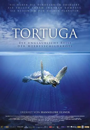 Turtle: The Incredible Journey