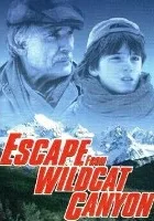 Ucieczka z kanionu Wildcat