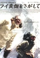 W pogoni za Holdenem