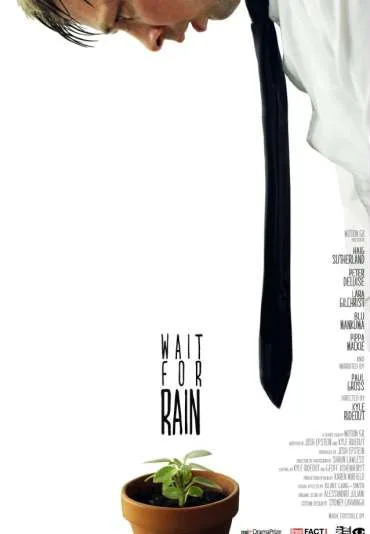 Wait for Rain