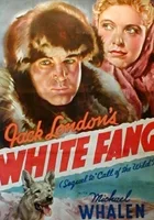 White Fang