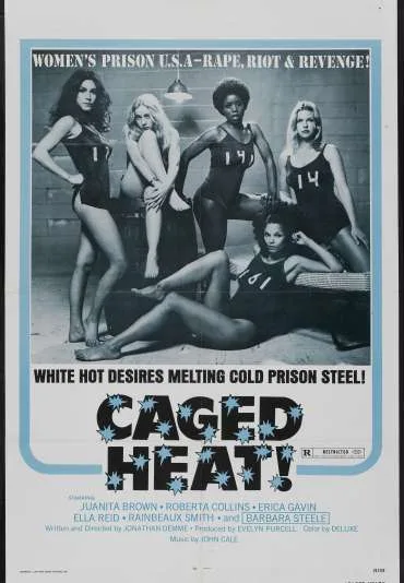 Więzienna gorączka