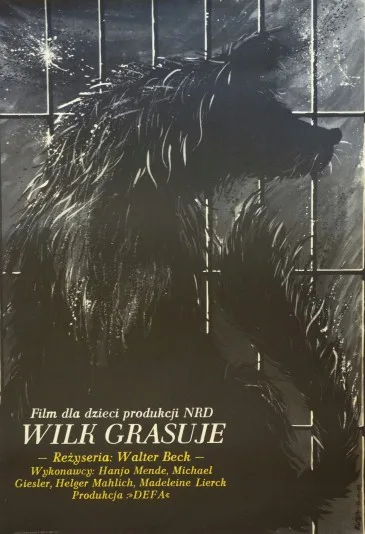 Wilk grasuje