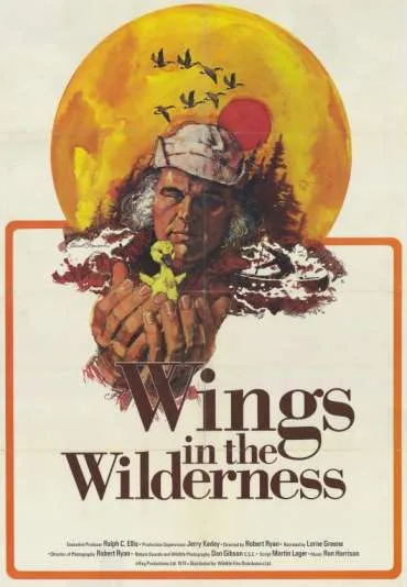 Wings in the Wilderness