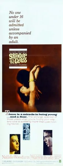 Wiosenna bujność traw