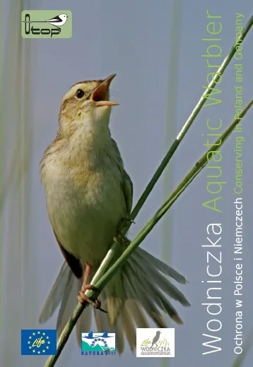 Wodniczka. Ochrona w Polsce i w Niemczech