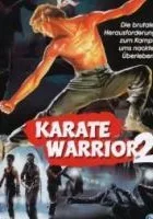 Wojownik karate 2