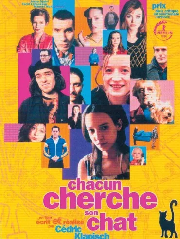 Wszyscy szukają kota