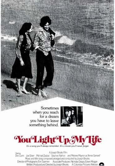 You Light Up My Life