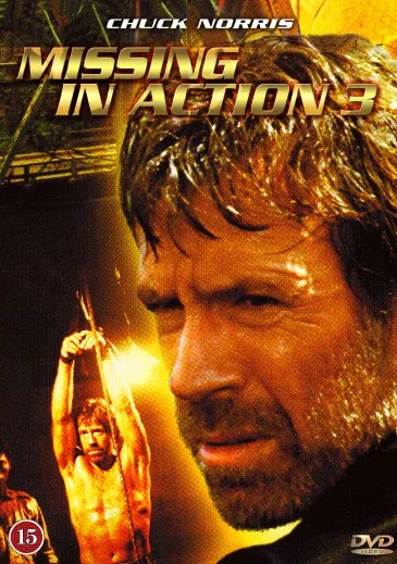 Zaginiony w akcji 3