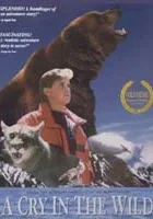 Zagubiony w leśnej głuszy