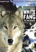 Zanna bianca alla riscossa