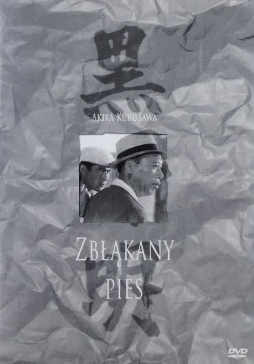 Zbłąkany pies