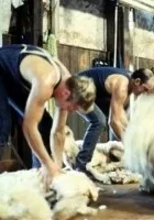 Zbyt odległa niedziela