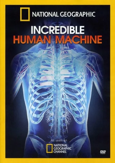 Zdumiewający ludzki organizm
