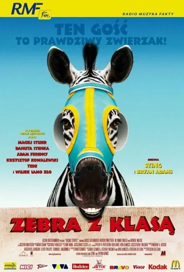 Zebra z klasą