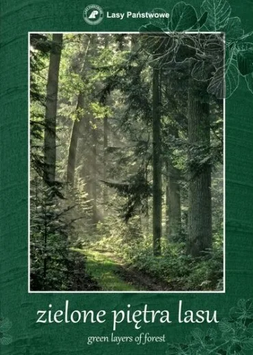Zielone piętra lasu